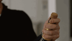 Pop Champagne Dylan Neal GIF