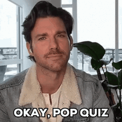 Pop Quiz Kevin McGarry GIF