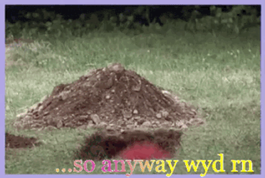 Pop Up Lifts Head Up GIF