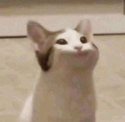 Popcat Big Mouth Meme GIF