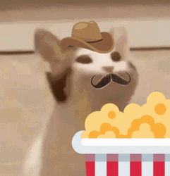 Popcat Mustache Popcorn GIF