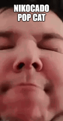 Popcat Nikocado Meme GIF
