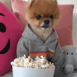 Popcorn Bowl Pom Puppy