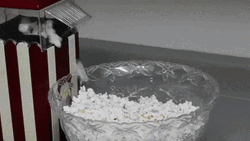 Popcorn Maker Ready GIF