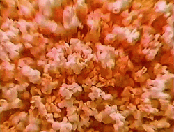 Popcorn Ready Splashing GIF