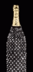 Popping Sparkling Champagne Bottle GIF
