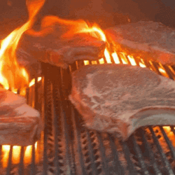 Porkchops Grilling Smoking Hot Bbq Party GIF