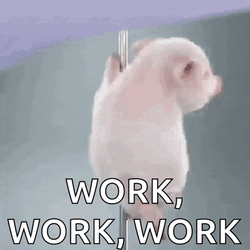 Porquinho Polidance GIF