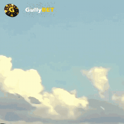 Port Park Sign With Flag GIF