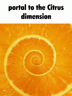 Portal To The Citrus Dimension Lemon GIF