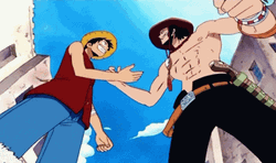 Portgas D Ace And Luffy GIF
