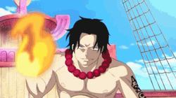 Portgas D Ace Fist Fire Punched GIF