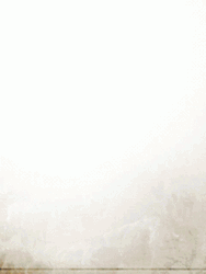 Portrait Moving Whiskey Glass GIF