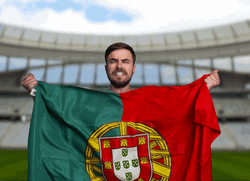 Portugal Football Euro 2020 GIF