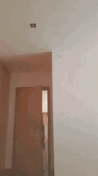 Portugal Homem Man Dancing GIF