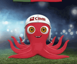Portugal Octogif Cheering Football GIF