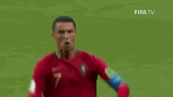 Portugal Winning Pose World Cup GIF