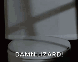 Poseidon's Kiss Damn Lizard Got Out GIF