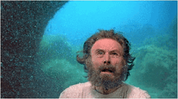Poseidon's Kiss Old Man Under The Sea GIF