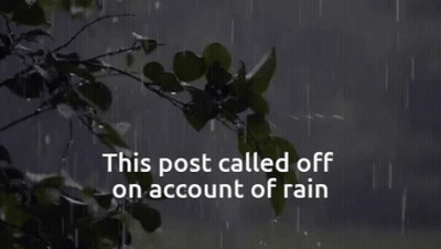Post Called Off On Account Of Rain With Tree Branch GIF