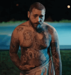 Post Malone Insane Music Video GIF