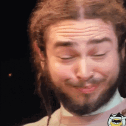 Post Malone Nope Meme GIF