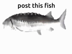 Post This Fish Twirling