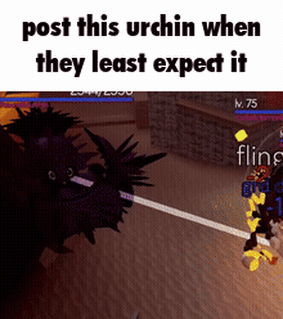 Post This Urchin When Least Expect It GIF