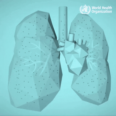 Poster Did You Know Air Pollution Kills 7 Million People GIF