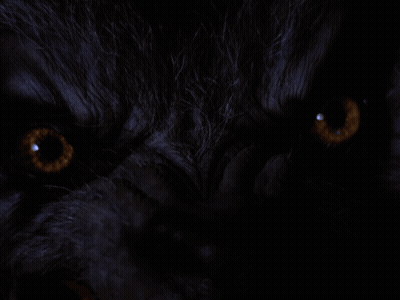 Poster Saying A Perfect Strike To Fix The Horror On Your Face GIF