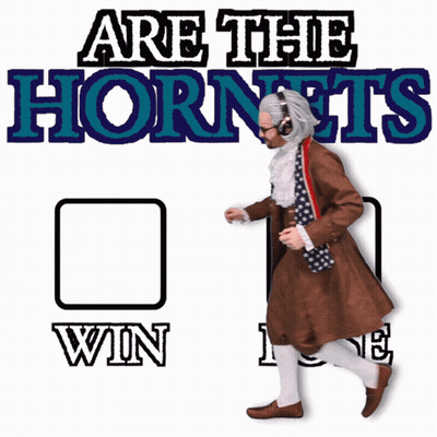 Poster Saying Are The Hornets Winning GIF