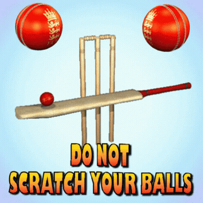 Poster Saying Do Not Scratch Your Balls GIF
