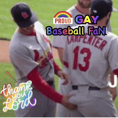 Poster Saying I'm A Gay Baseball Fan GIF