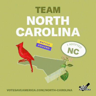 Poster Saying Team North Carolina With Bird GIF