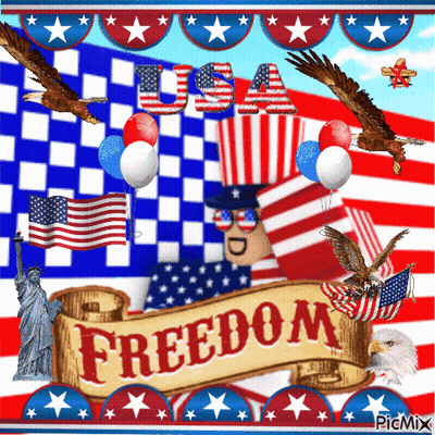 Poster With Freedom Banner GIF