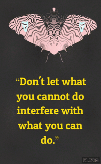 Poster With Moth Saying Don't Let What You Cannot Do Interfere With What You Can Do GIF