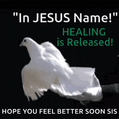 Poster With White Dove Saying In Jesus Name GIF
