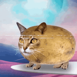 Potato Cat GIF