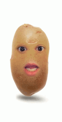 Potato Head GIF