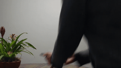 Potted Plant On Wooden Table GIF