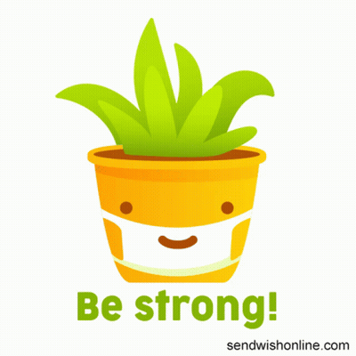 Potted Plant Wearing Face Mask Saying Be Strong GIF
