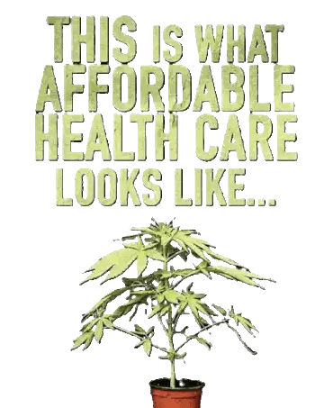 Potted Plant With This Is What Affordable Health Care Looks Like Sticker