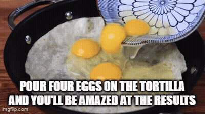 Pour Four Eggs On Tortilla GIF