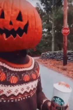 Poured Out Pumpkin Spice Latte GIF