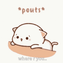 Pouty Cat Where  GIF