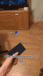 Pov Brother Breaks Nintendo Dual Screen GIF