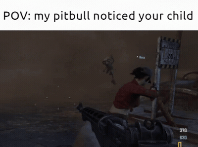POV My Pitbull Noticed Your Child GIF