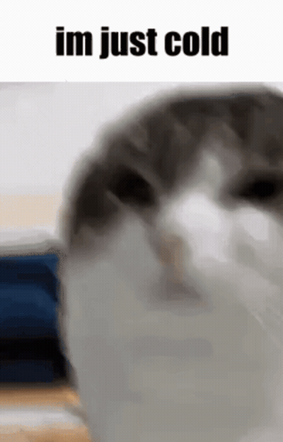 POV X90210 I'm Just Girl GIF