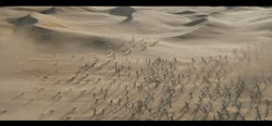 Power Rangers Desert Fight GIF