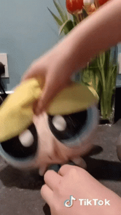 Powerpuff Girls Bubble Stuff Toy GIF